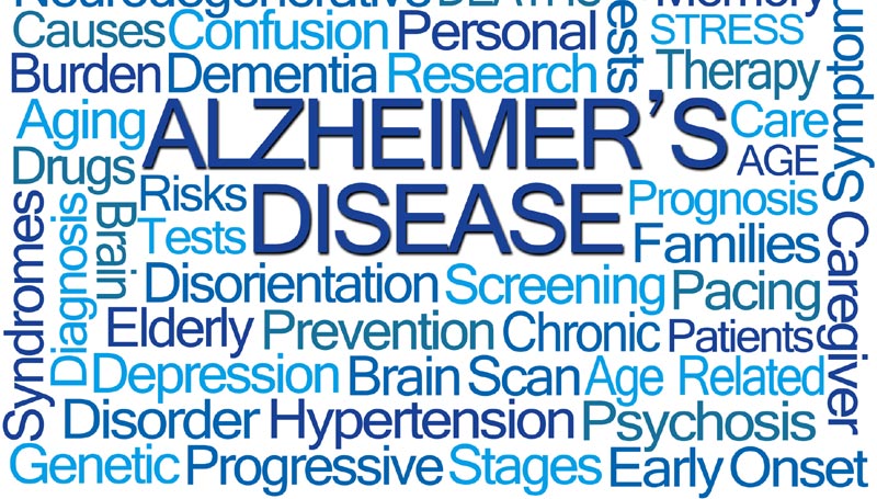 Alzheimer’s Risk Reports