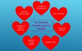 Improve Cardiovascular Health