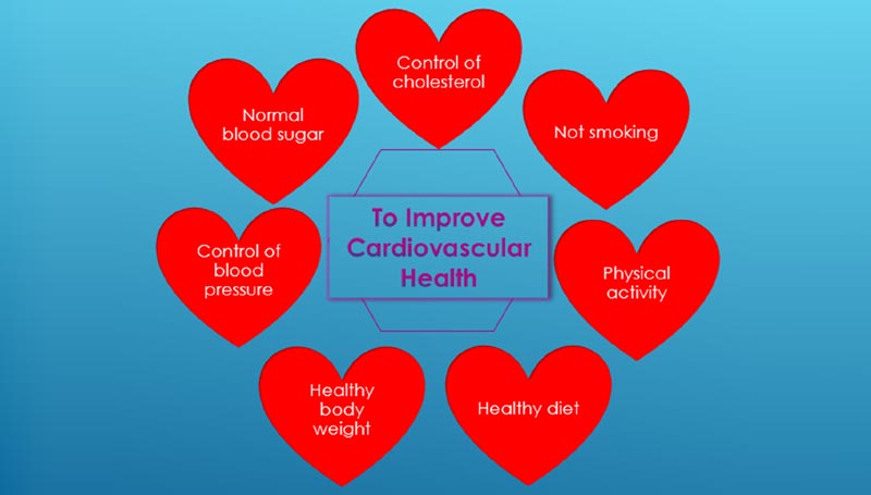 Improve Cardiovascular Health
