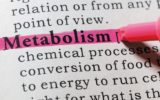 Metabolism