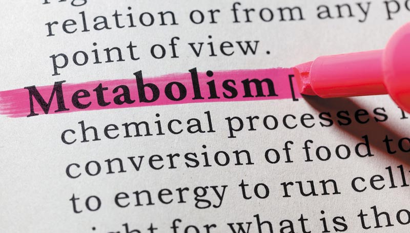 Metabolism