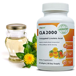 Best Ingredients for Weight Loss Supplements CLA 2000
