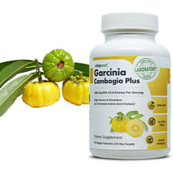 Best Ingredients for Weight Loss Supplements Garcinia Cambogia Plus