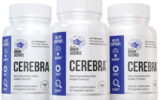 Cerebra