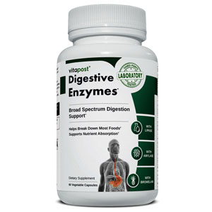 Digestive Enzymes