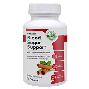 VitaPost Blood Sugar Support