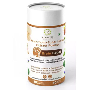 Mushroom Brain Boost