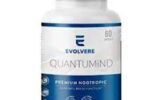 Quantumind