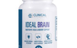 Ideal Brain