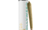 Hollyweed Delta-8 Individual Pre Roll