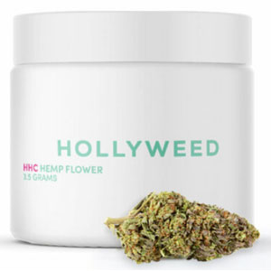 Hollyweed HHC Flower-Northern Lights