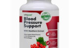 Blood Pressure Support