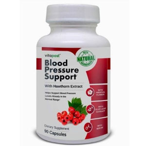 Blood Pressure Support